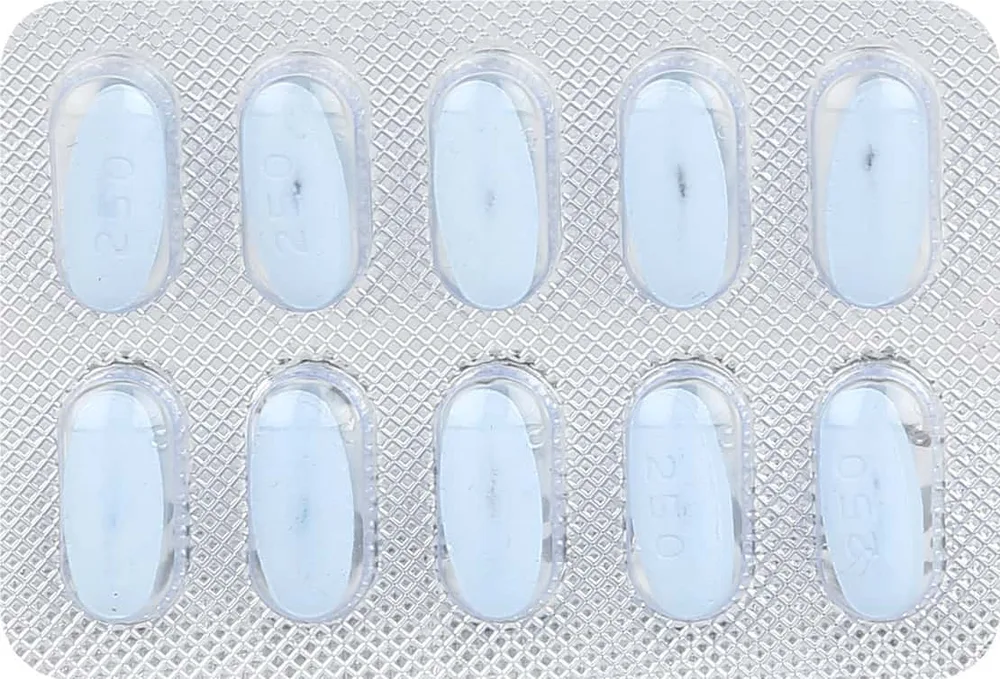 Levroxa 250mg Strip Of 10 Tablets