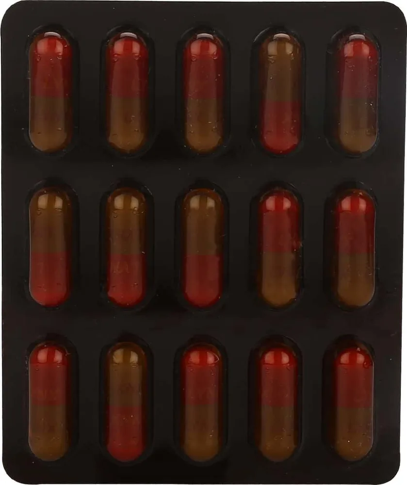 Lynx 500 Capsule
