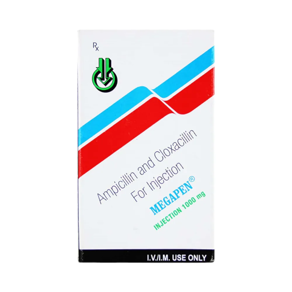 Megapen 1gm Dry Vial Of 1 Powder For Injection