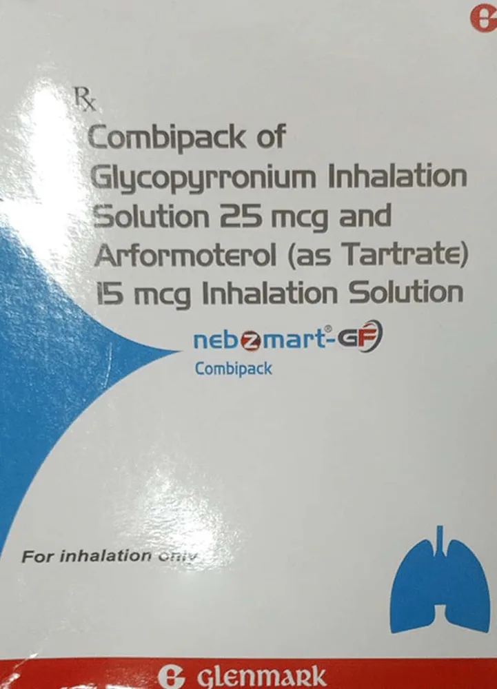 Nebzmart-GF Combipack Smartule