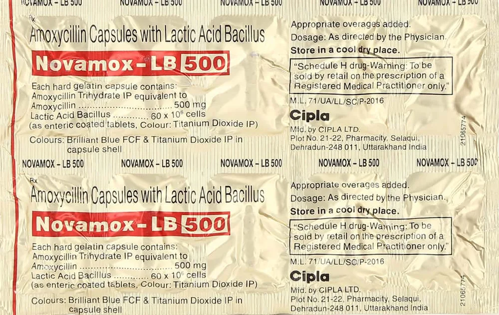 Novamox Lb 500mg Strip Of 10 Capsules