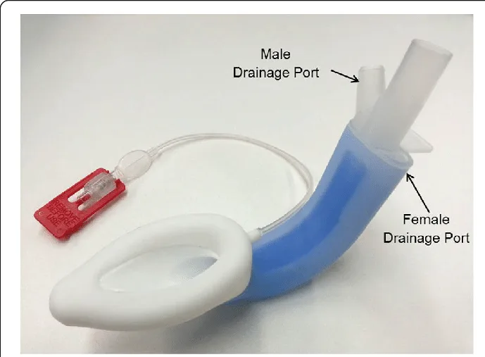 Rusch Lma Protector Airway